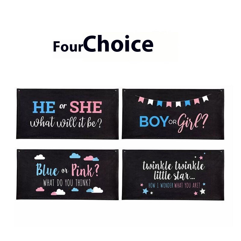 Gender Reveal Boy Girl Balloon Bag